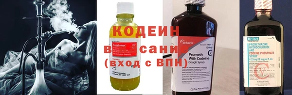 молекула духа Арсеньев