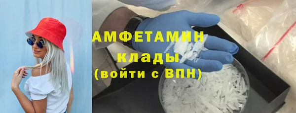 молекула духа Арсеньев