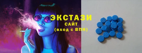 молекула духа Арсеньев