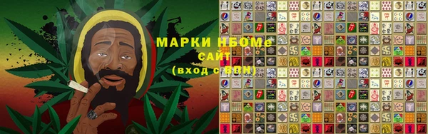 не бодяженный Аркадак