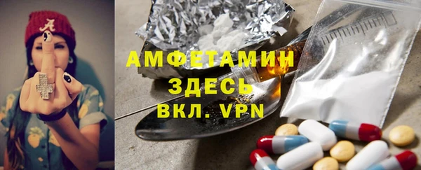 молекула духа Арсеньев
